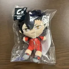 ハイキュー!!　ぬいもっち　フリューくじ　黒尾鉄朗