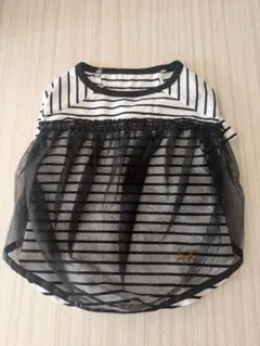 Item thumbnail for item 560e9acf-cb69-4556-993b-aa94fff6d5c2