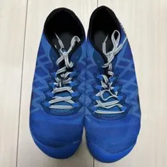 Item thumbnail for item 892c3741-04df-4214-a37a-f408d0e3eed6