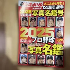 Item thumbnail for item 9d0e2211-f121-4255-9808-a752baa03f7d