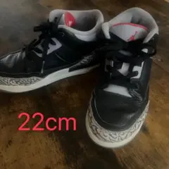 Item thumbnail for item e7c0efc1-bcd2-42b8-9a67-be3e469755bf