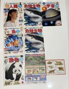 小学館の図鑑NEO 動物 ハッピーセット 6冊セット　マクドナルドのサムネイル