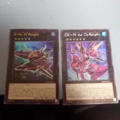 N・As・H Knight & CX・N・As・Ch Knight セット