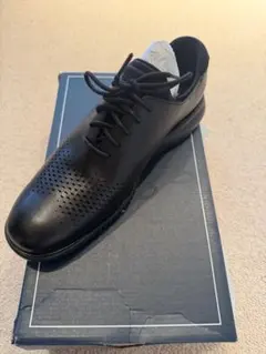 新品未使用　コールハーン 2ZEROGRAND LSR WINGのサムネイル