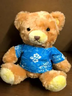 Item thumbnail for item c9058b06-0634-4860-aecb-41b89e3c3fb8