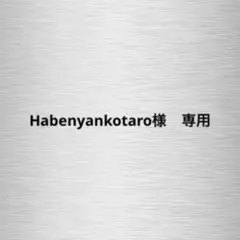 【いず様　専用】