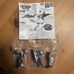 THE SHARK vs最強の捕食者 シャチ