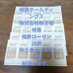 相鉄株主優待券　相鉄ローゼン ¥100割引券 25枚セットのサムネイル