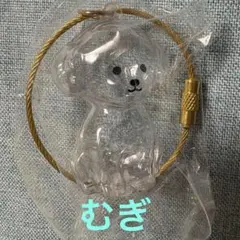 わんこのタイムカプセル　むぎ1点　ガチャ