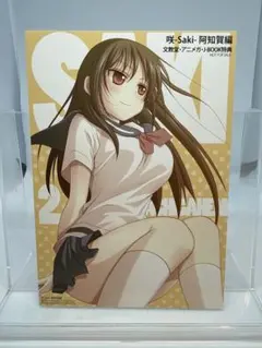 咲-Saki-⑬ 購入特典 文教堂 アニメガ イラストカード - メルカリ