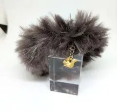 Item thumbnail for item fbc17437-0ec1-4182-9479-2bfd37f66b9f