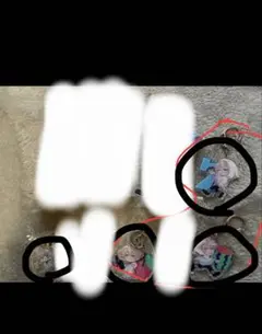 さーちゃんさん専用