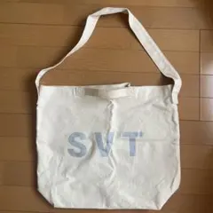 SEVENTEEN セブチ SVT 2020 ドームツアー トートバッグ - メルカリ