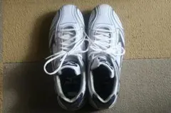 Item thumbnail for item ba16b479-51aa-48dc-bcd3-8884fc05d1be