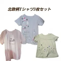 【3枚セット】ベルメゾン 半袖Tシャツ Lサイズ 小花柄 北欧風 完売品のサムネイル