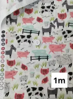 USAコットン　ファーム　農場　1m