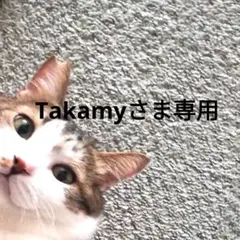 Takamyさま専用