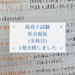 Kaho様 リクエスト 2点 まとめ商品