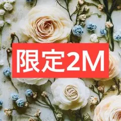 ❣️【本日限定】お得2Ｍ ☆可愛い編み花風立体感　綿100% シーチング生地