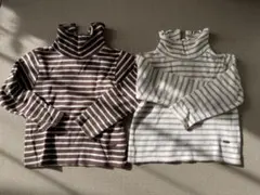 プティマイン　リブ　タートル　まとめ売り