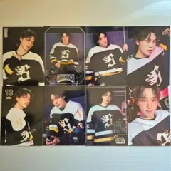 SEVENTEEN's HOME ディノ トレカ コンプ セブチ