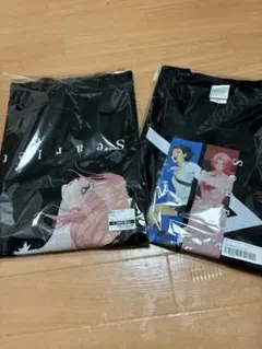 3点セット サイン入りトートバッグ 2 四家魁人 越谷アルファーズ 越谷アルファーズ X / Posts / (@KoshigayaAlphas) ファングッズ