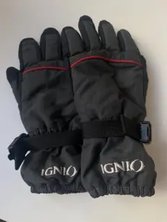 スキーグローブ140