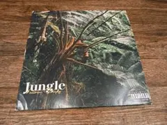ellow Bucks イエローバックスJungle緑色レコード - メルカリ
