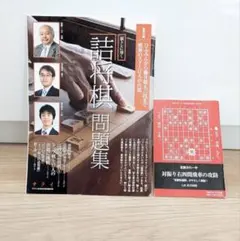 脳トレに効く『詰将棋問題集』トップ棋士17人の出題に挑戦 藤井聡太 羽生善治のサムネイル