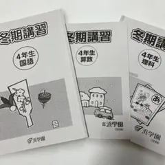 浜学園　小4　国語/算数/理科/計算/春夏冬テキスト　2023年使用版　 中古 希 裁断済み 未記入 冬季講習 小4 算数・理科・国語 オリジナル