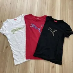 プーマTシャツ3点セット