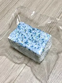 Teddybear スクイズ