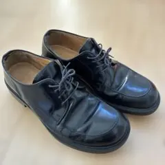 Item thumbnail for item 566d12f7-c480-4add-aee8-d87130dfd519