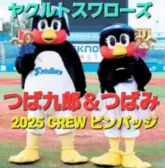 【最終価格】東京ヤクルトスワローズ　2025年ピンバッジ　つば九郎＆つばみちゃん
