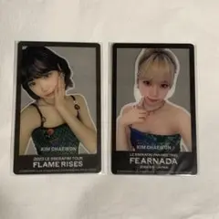 LESSERAFIM 2023 2024 FC特典 会場限定トレカ チェウォン