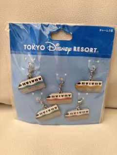 東京ディズニーリゾート リゾートライン キーホルダー5個セット リゾラ チャーム