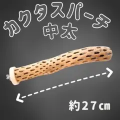 あお　止まり木　カクタス　パーチ　訳あり2本 CD、No.675 鳥用品 止まり木 カクタス スケルトン パーチ 中太No.155 - メルカリ