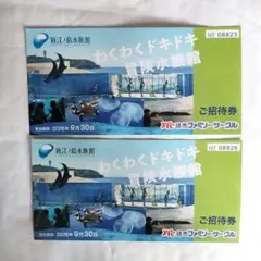 TOBA AQUARIUMコレクションカード 2パック 鳥羽水族館 オリジナル