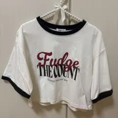 ♡美品♡ WEGO ロゴプリント リンガーTシャツ ホワイト Mサイズ