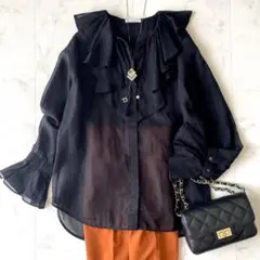 近年.美品.定価3万☆エストネーション 洗える フリルカラーブラウス 黒
