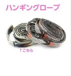 Item thumbnail for item 98061795-f6ac-4cd3-8ce5-3b837eaa72d4