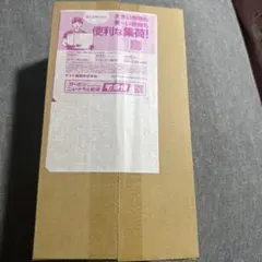 ポケモンセンター トウホク スペシャル(未開封)シュリンク付き