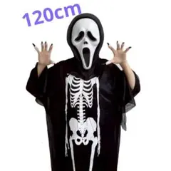 Item thumbnail for item 10474e65-8714-435b-8bec-6e1eeb4104dd