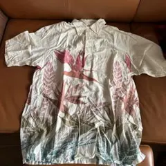 Item thumbnail for item 417ab0bd-898b-42fd-9555-9d5091d99378