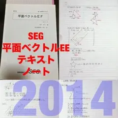 SEG 平面ベクトルEF 鉄緑会駿台河合塾Z会東大京大 おまけ 全講義ノート
