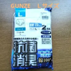 新品！GUNZE Lサイズ 抗菌消臭ブリーフ 2枚組