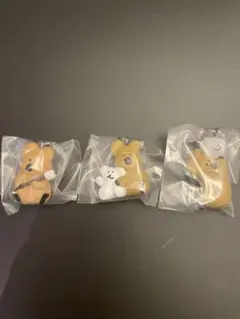 ダイノテン めじるしアクセサリー 3種セット