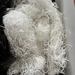 Item thumbnail for item 861c755a-cc30-4615-b7dc-9397d7357eb0