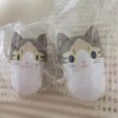 クーニャッツ2　「パステル三毛＜長毛＞」昼目・夜目