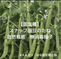 ゴマ様 リクエスト 2点 まとめ商品